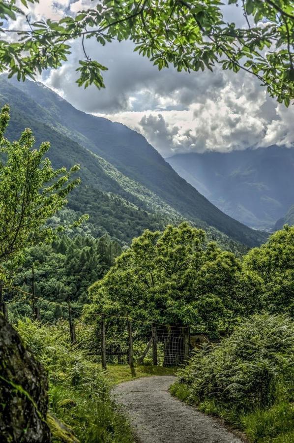 Grotto Zendralli Roveredo Dış mekan fotoğraf