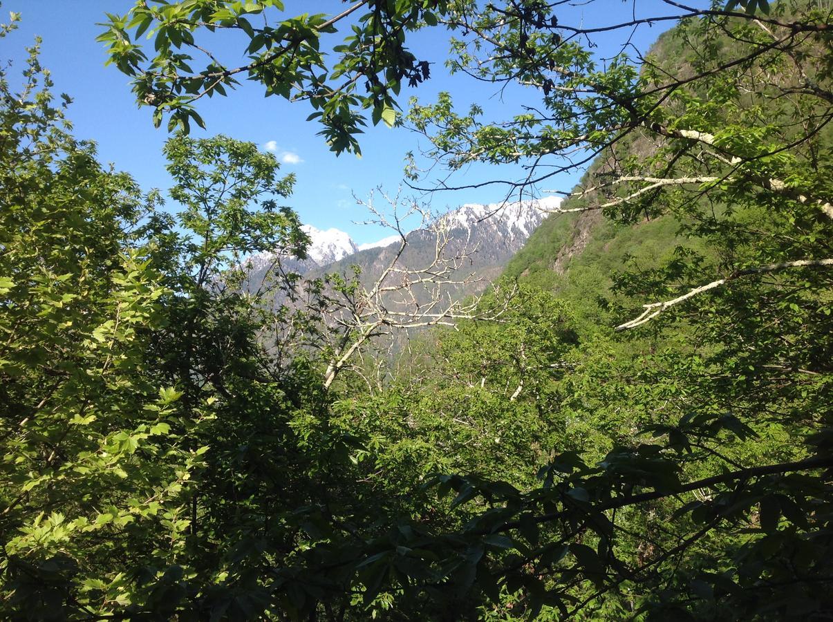 Grotto Zendralli Roveredo Dış mekan fotoğraf